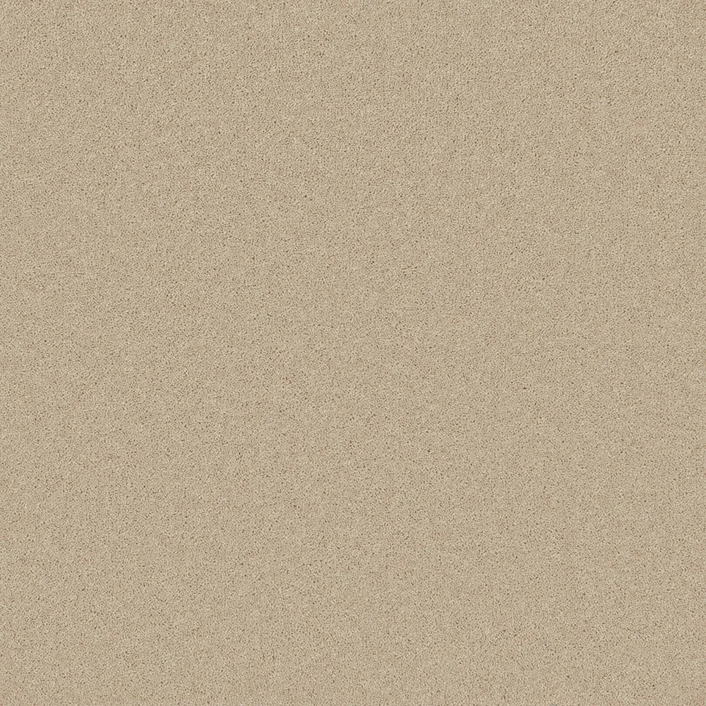 Pembroke Carpet by Cormar Carpets | Quality Flooring