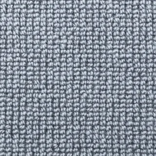 Elegant Grey
