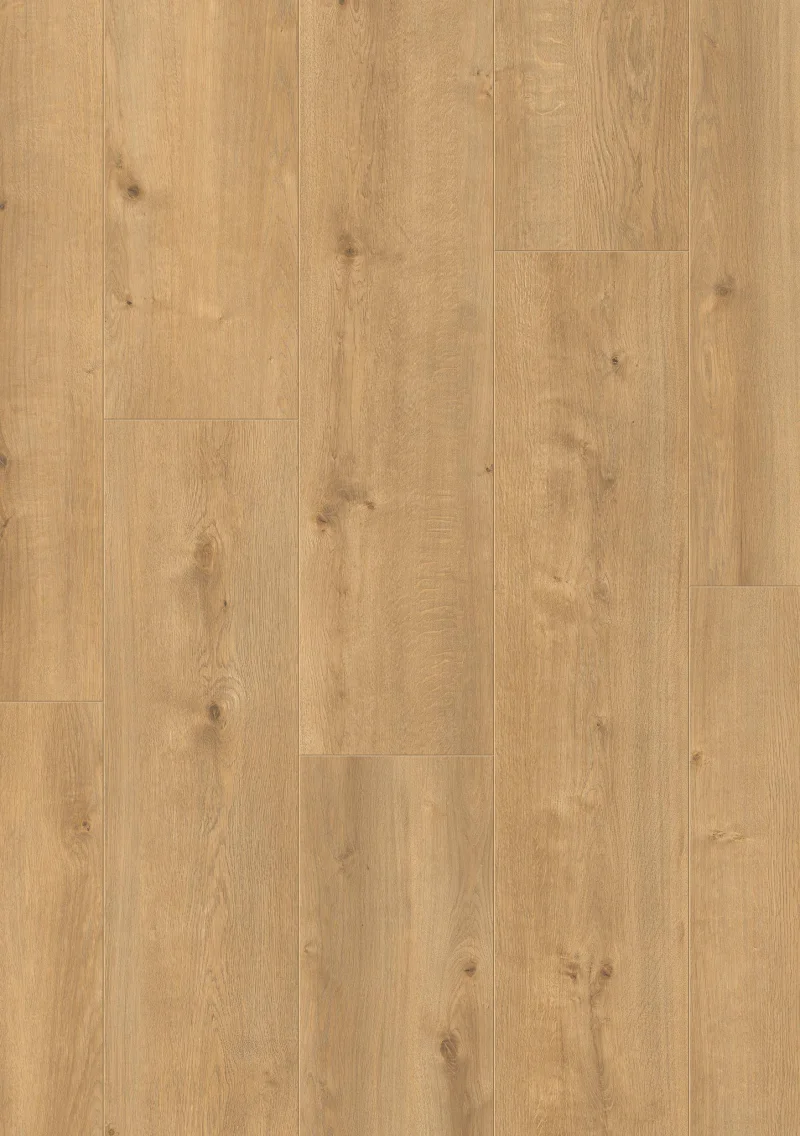 Neptune Driftwood Oak