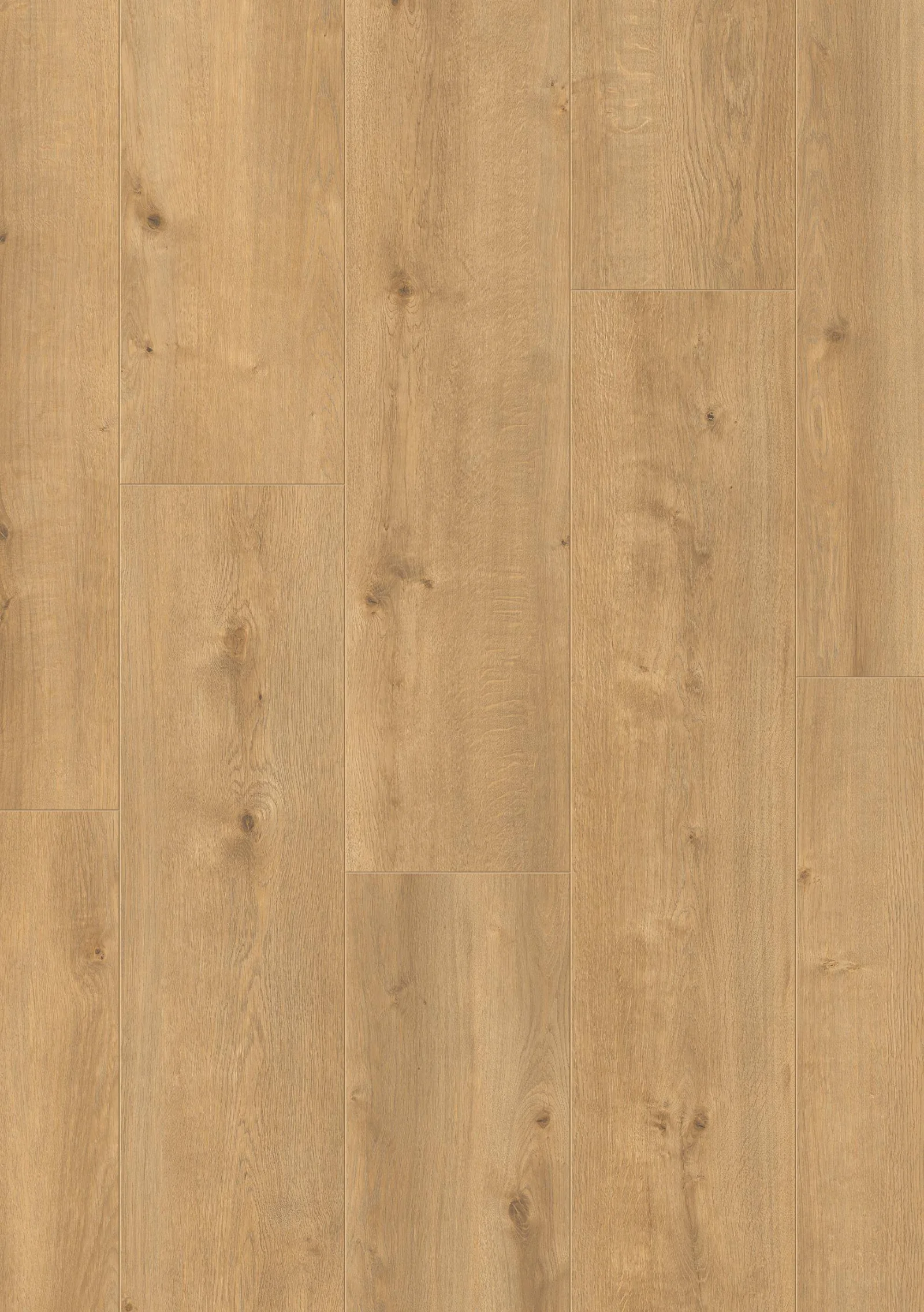 Neptune Laminate Flooring by Furlong Flooring