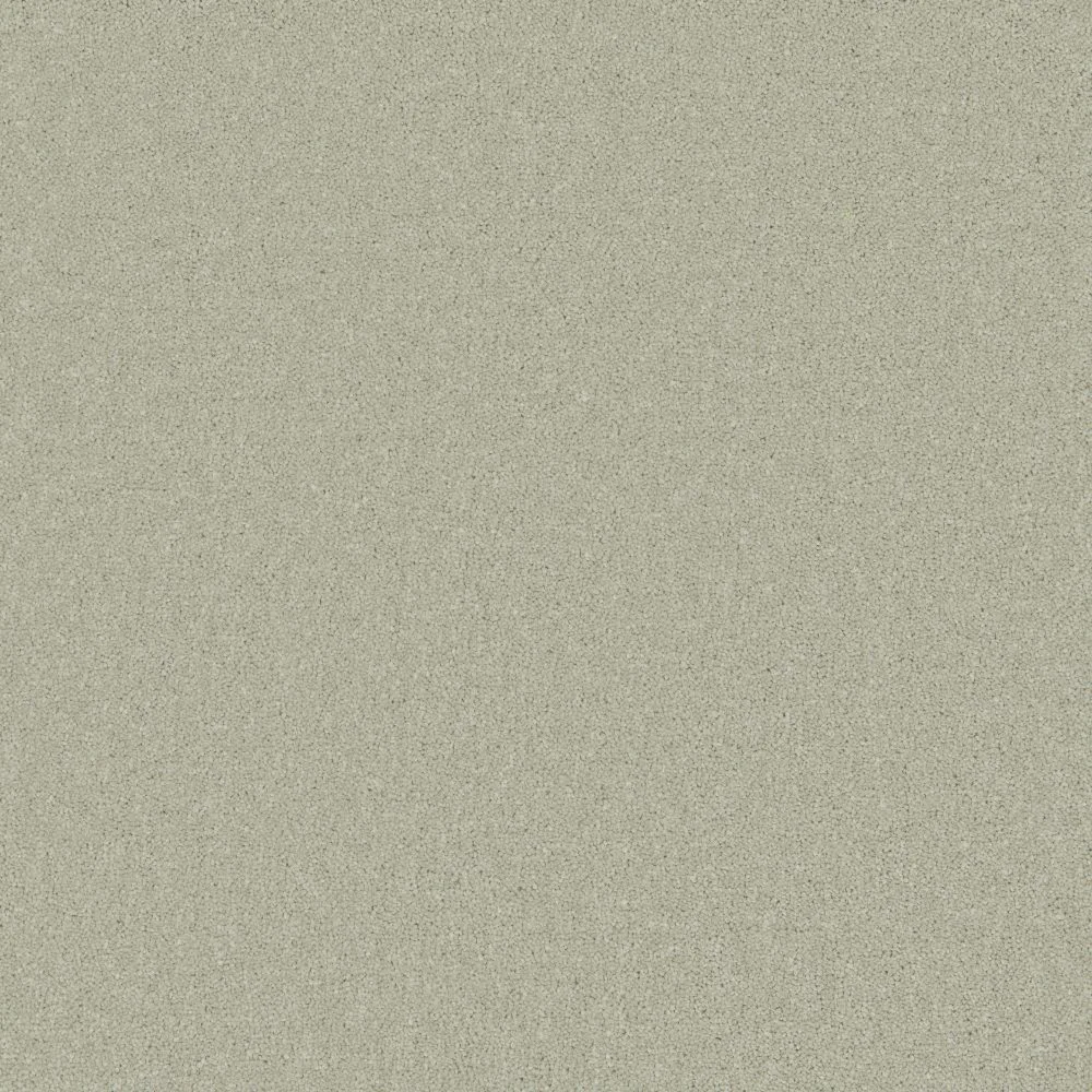 Elegance Carpet by Furlong Flooring | Quality Carpets