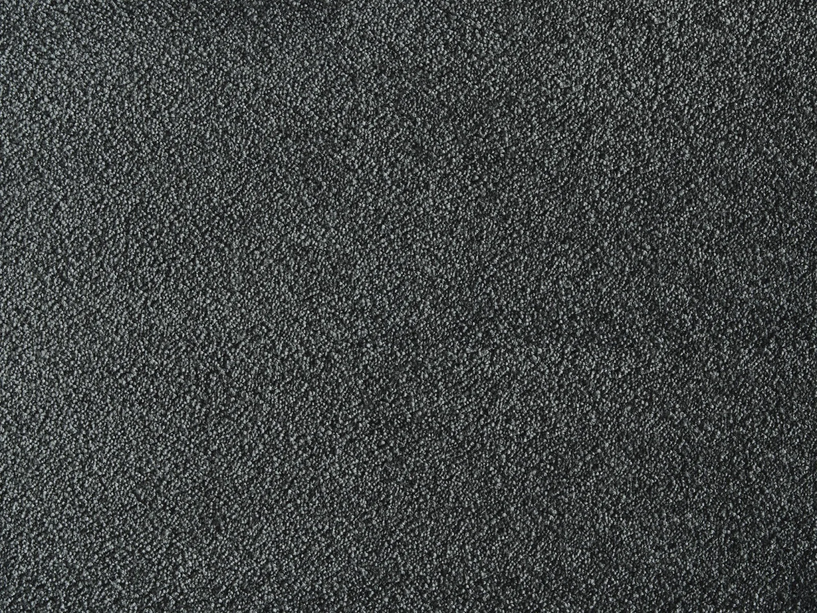 Satine Nova Carpet by Lano | Quality Carpets and Vinyl
