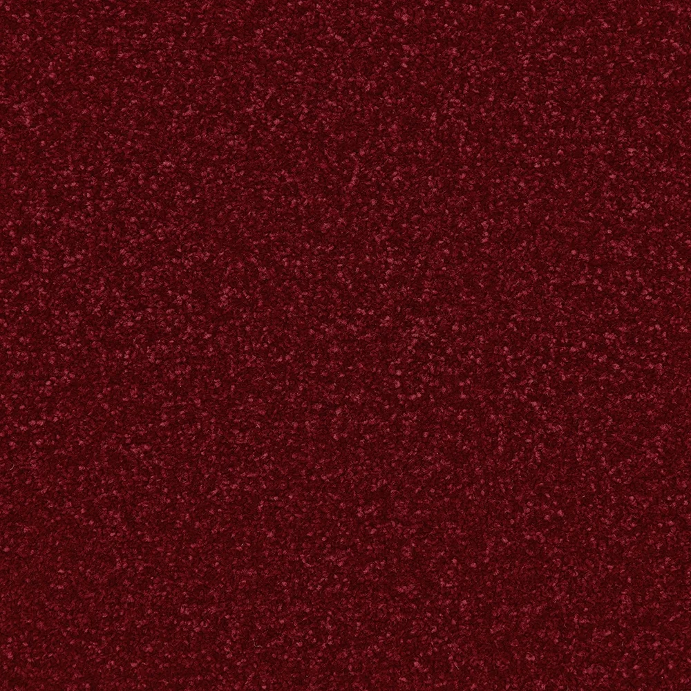 Apollo Plus Carpet by Cormar Carpets | Quality Flooring