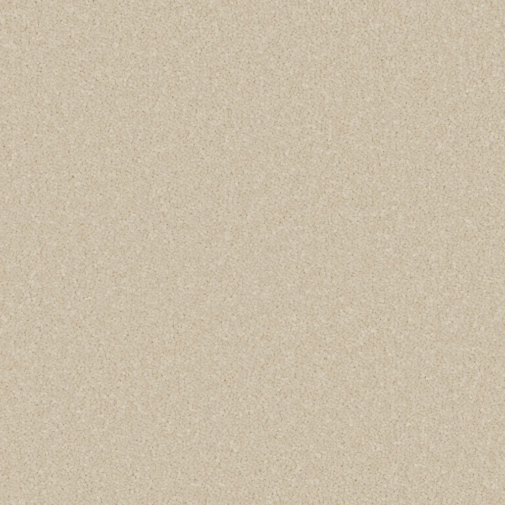 Primo Ultra Carpet by Cormar Carpets - Quality Flooring