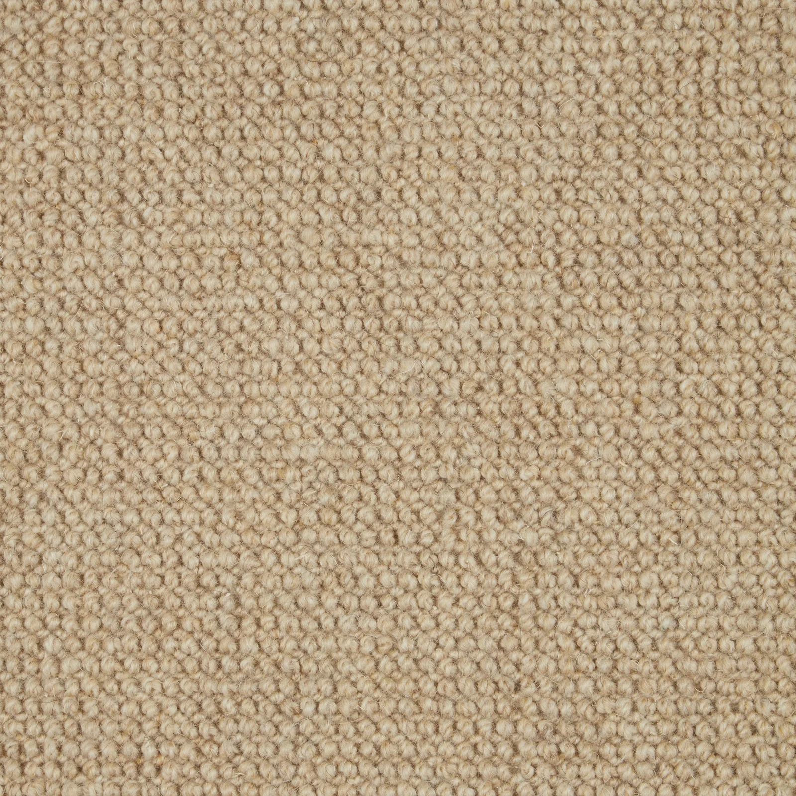 Trilogy Carpet by Cormar - Luxurious Pure Wool