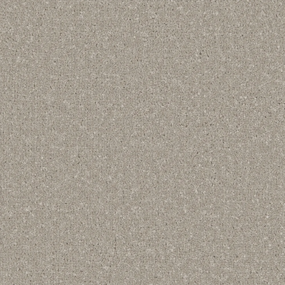 Apollo Plus Carpet by Cormar Carpets | Quality Flooring