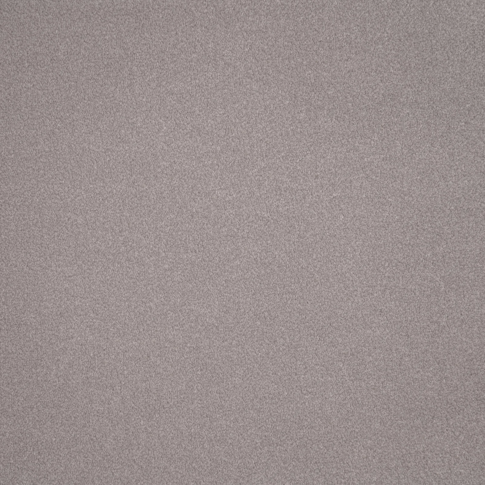 Elegance Carpet by Furlong Flooring | Quality Carpets