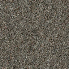 Ultima Twist Fossil