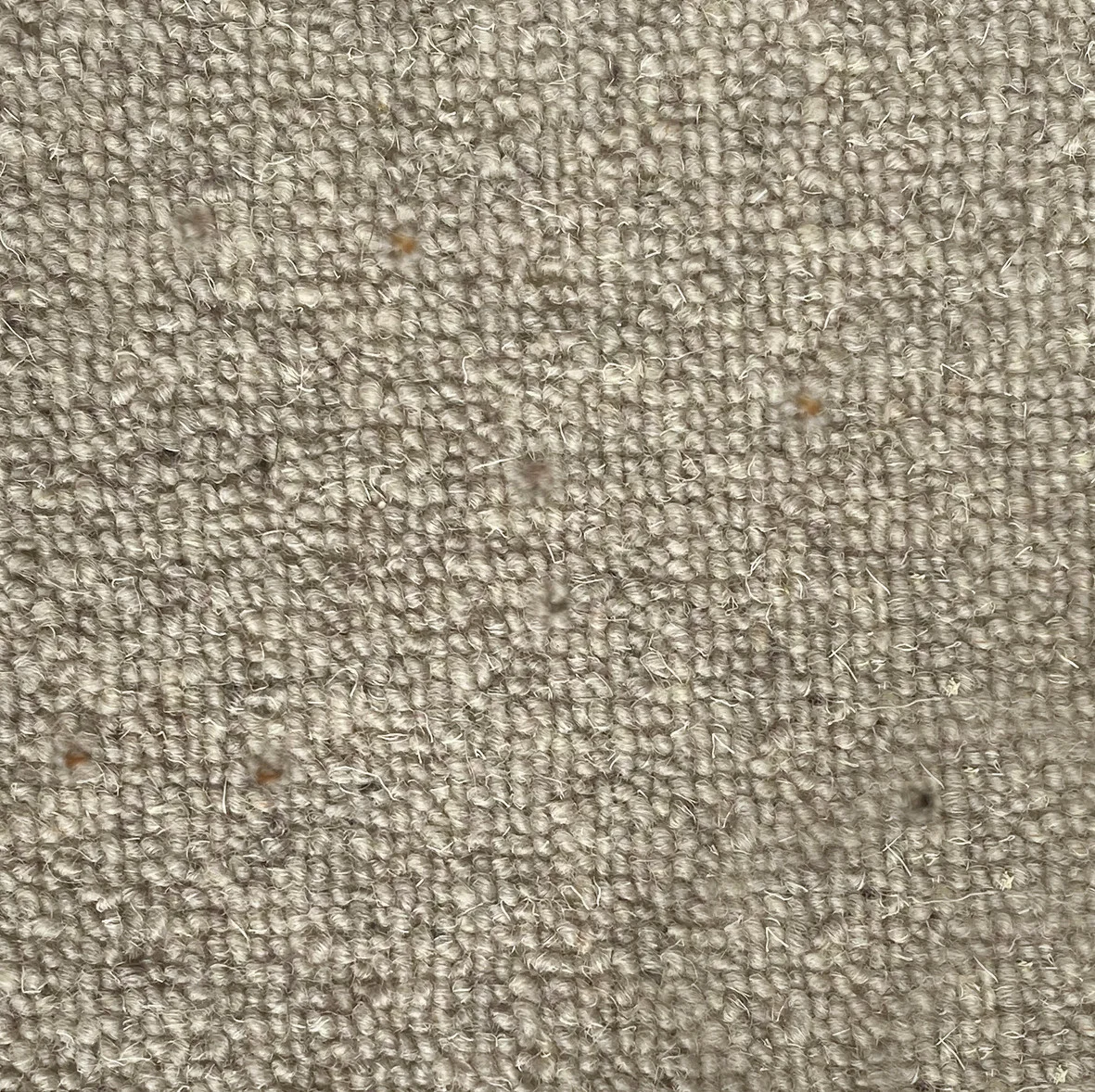 Middlemarch LVT by Floors by Lewis Abbott - Quality Carpets