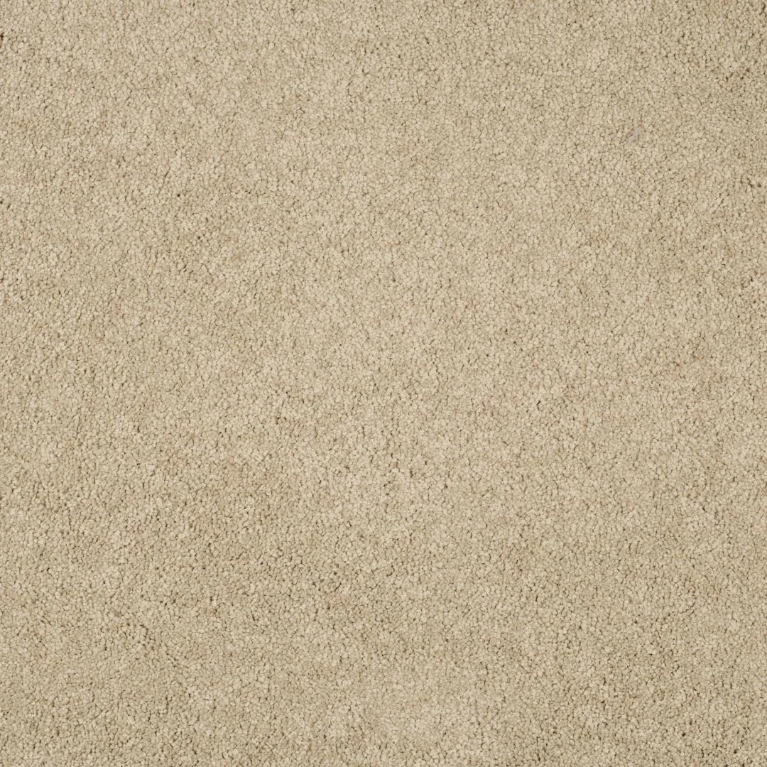 Magical Feeling Carpet by Balta – Quality Flooring