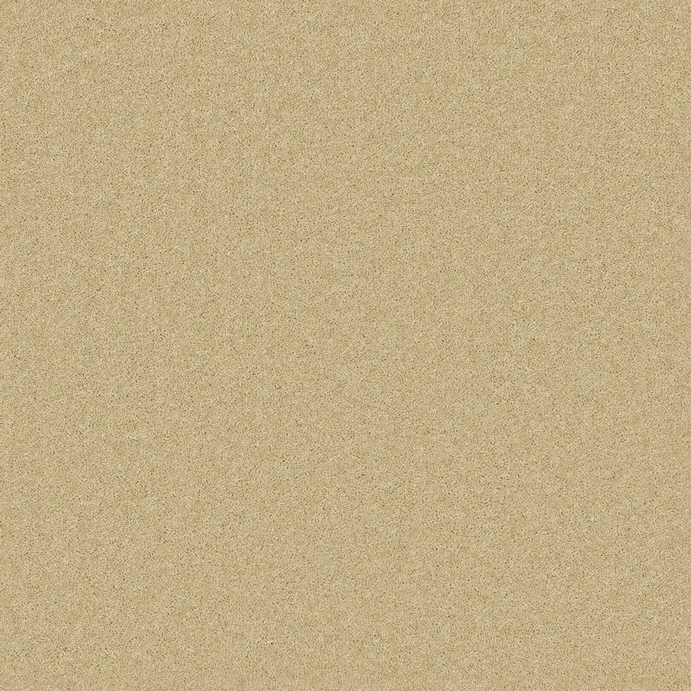 Pembroke Carpet by Cormar Carpets | Quality Flooring