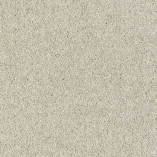 Royal Charter Deluxe Carpet by Abingdon Flooring