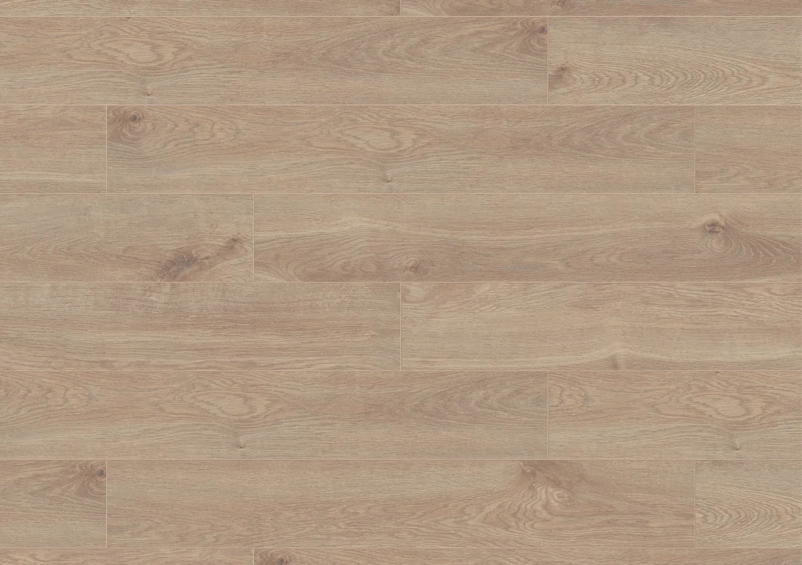 Organic Classic Eurus Oak