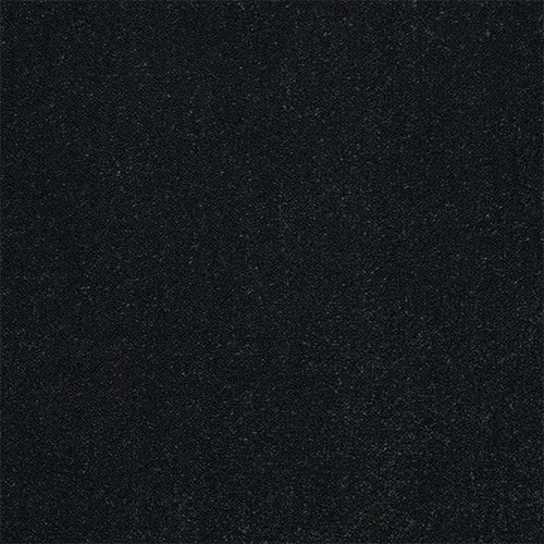 Captivation Black Raven