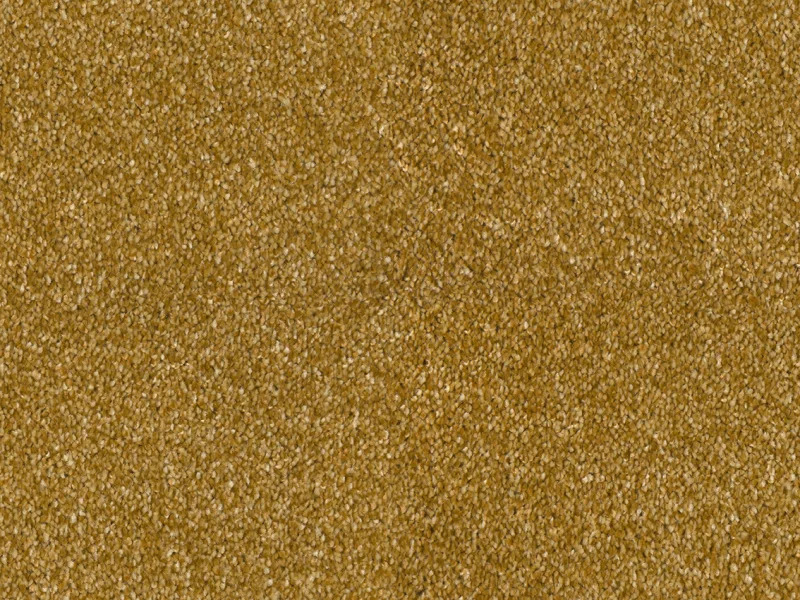 Bellelux 370Gold