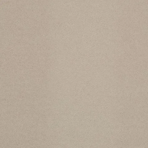 Velvet Impressions Taffeta
