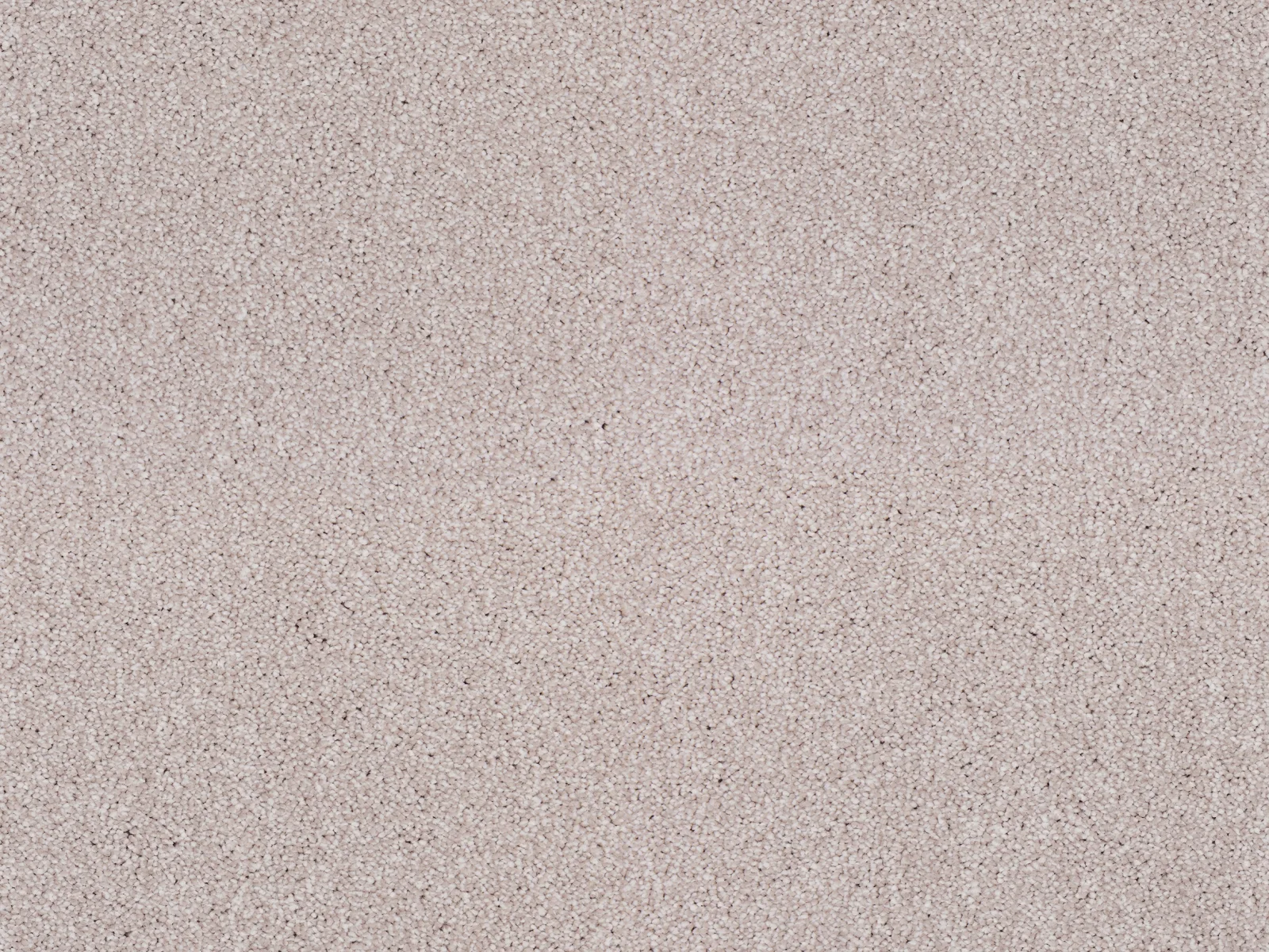 Heathertwist Elite Carpet by Lano | Quality Carpets in WV11