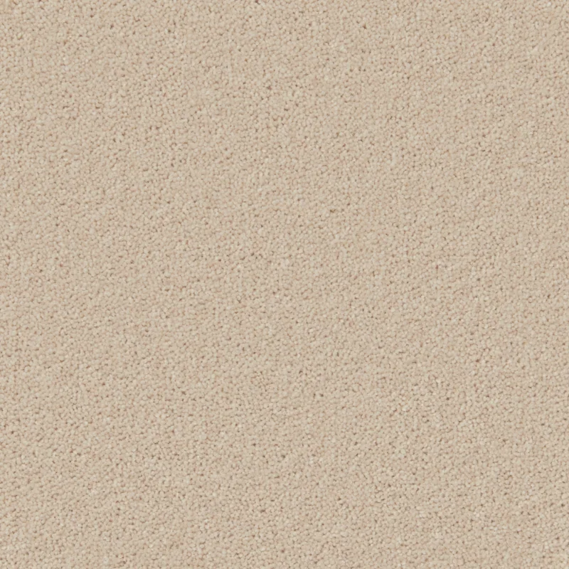 All Carpets Pacific Pearl