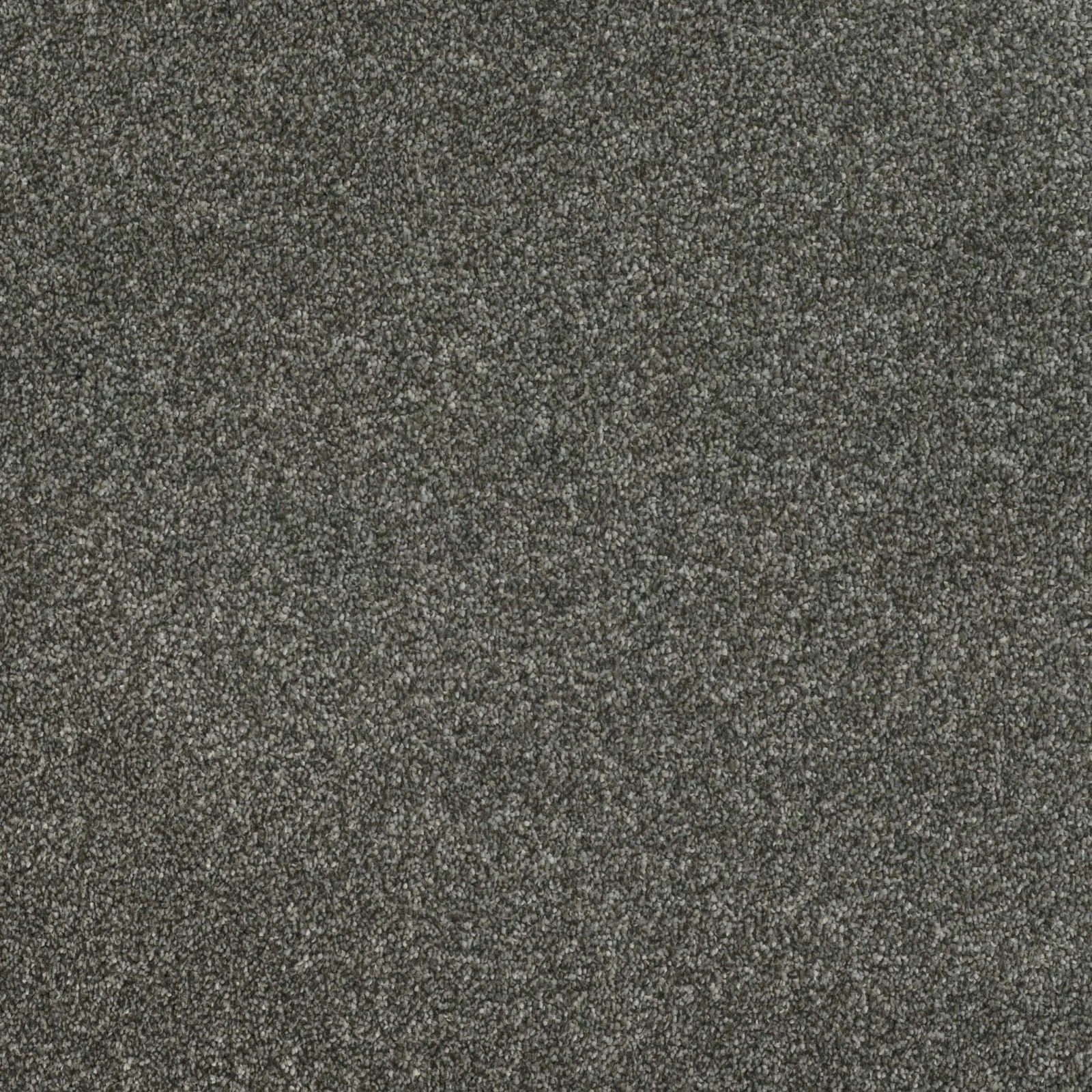 Pinnacle Carpet by Balta | Quality Flooring in Wednesfield