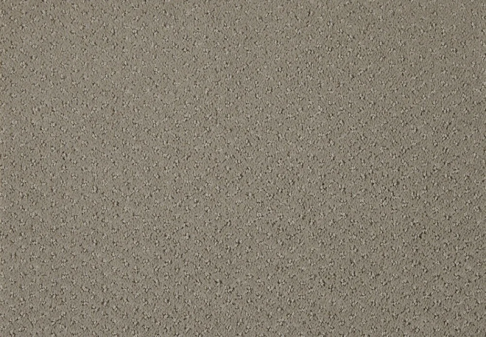 Carve Classic Carpet by Lano - Durable Polyamide