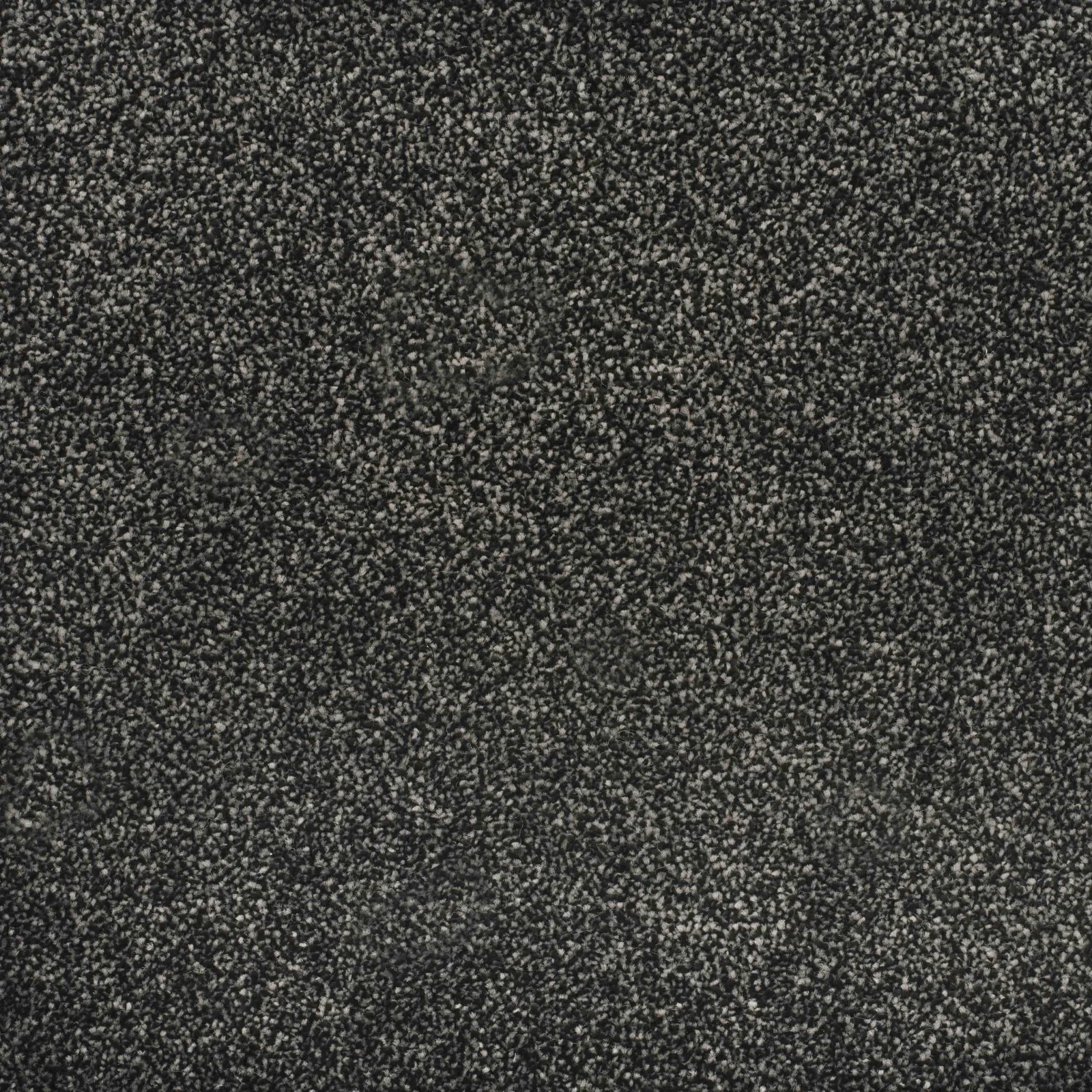 Essence Carpet by Balta | Quality Carpets in Wednesfield