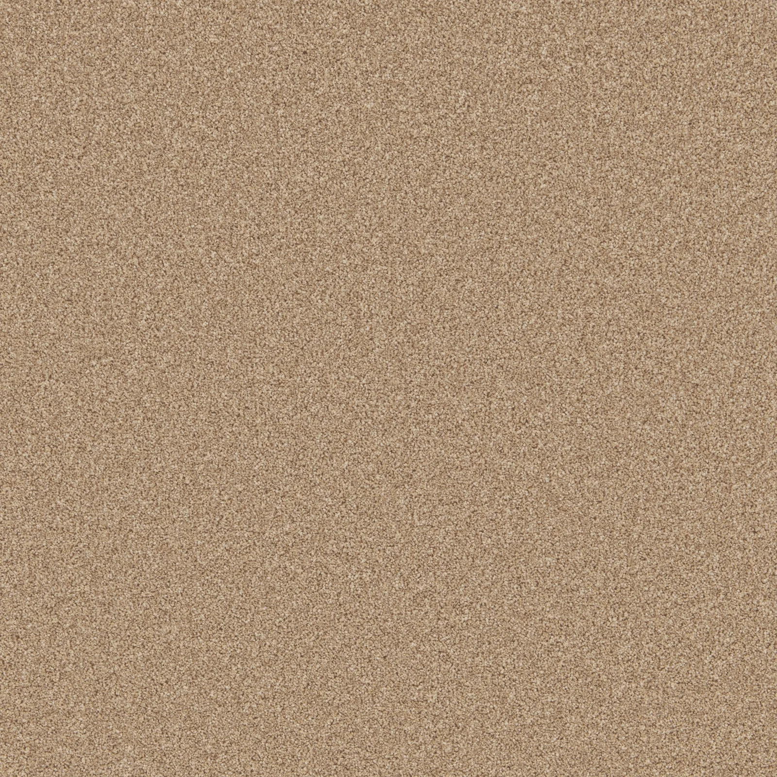 Primo Natural Carpet Range