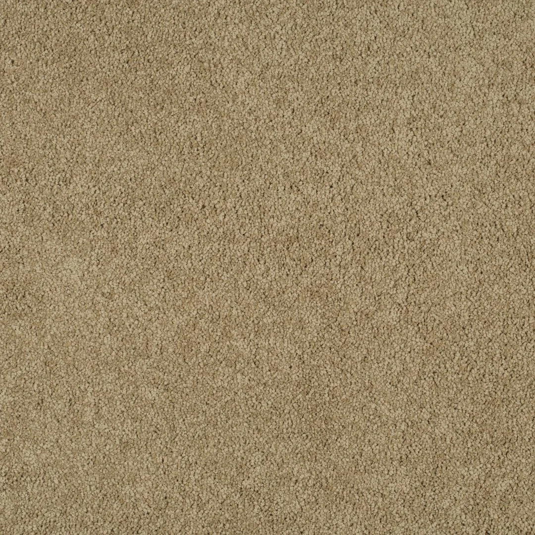 Magical Feeling Carpet by Balta – Quality Flooring
