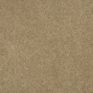 camel coat