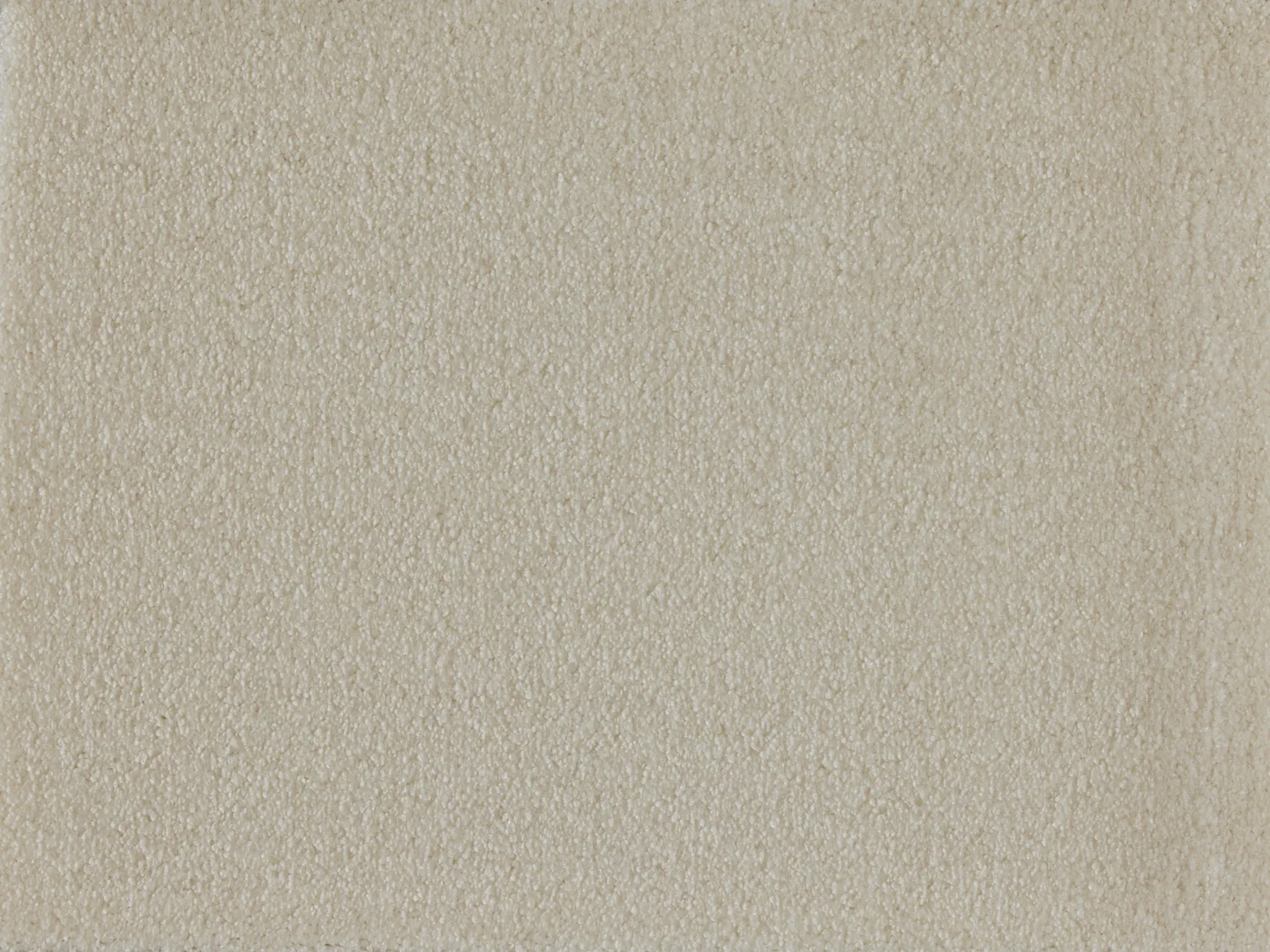 Satine Nova Carpet by Lano | Quality Carpets and Vinyl