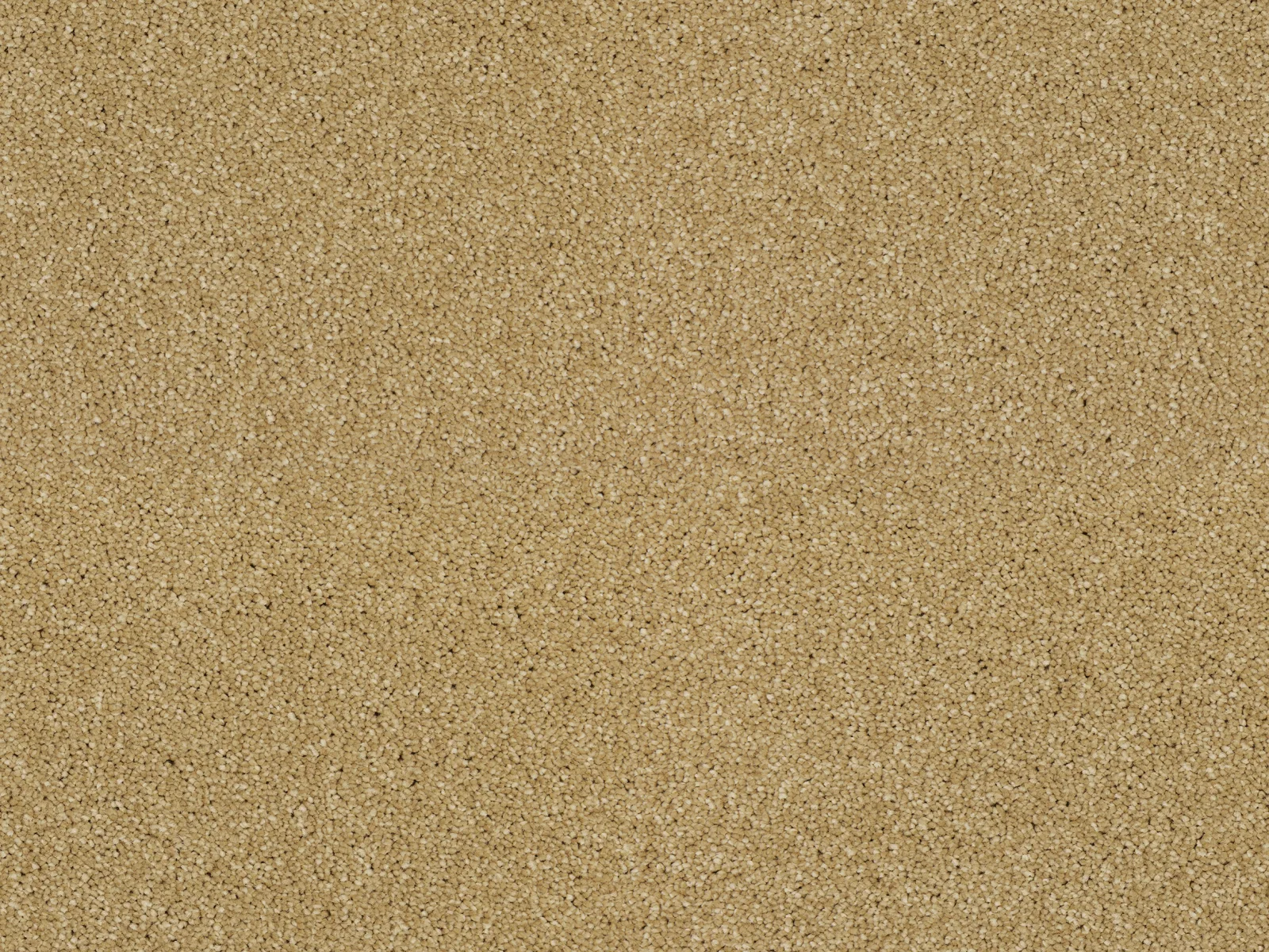 Heathertwist Elite Carpet by Lano | Quality Carpets in WV11
