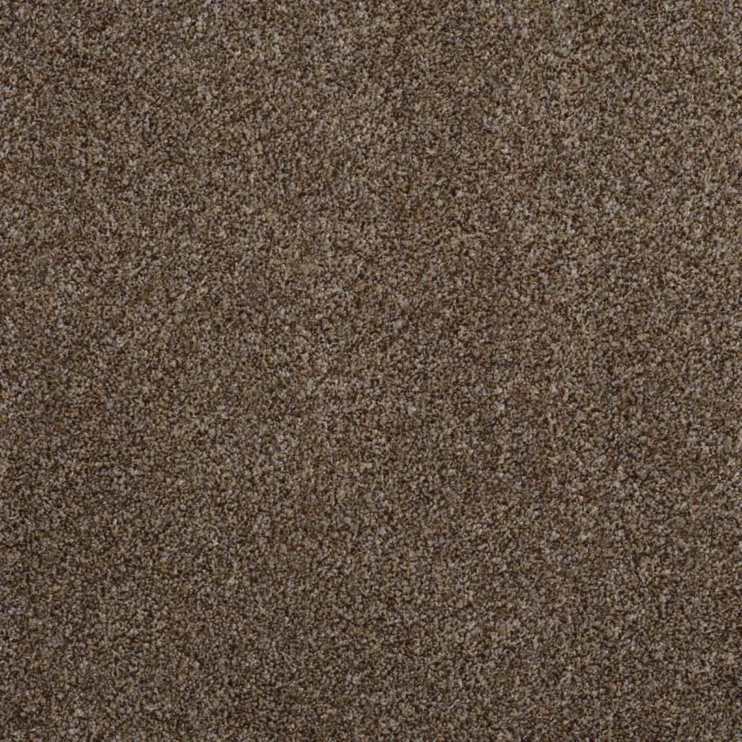 Shepherd Twist Carpet by Balta - Quality Carpets WV11