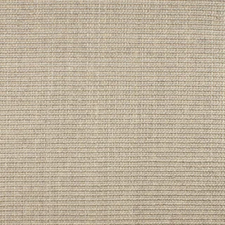 Small Boucle 20/44