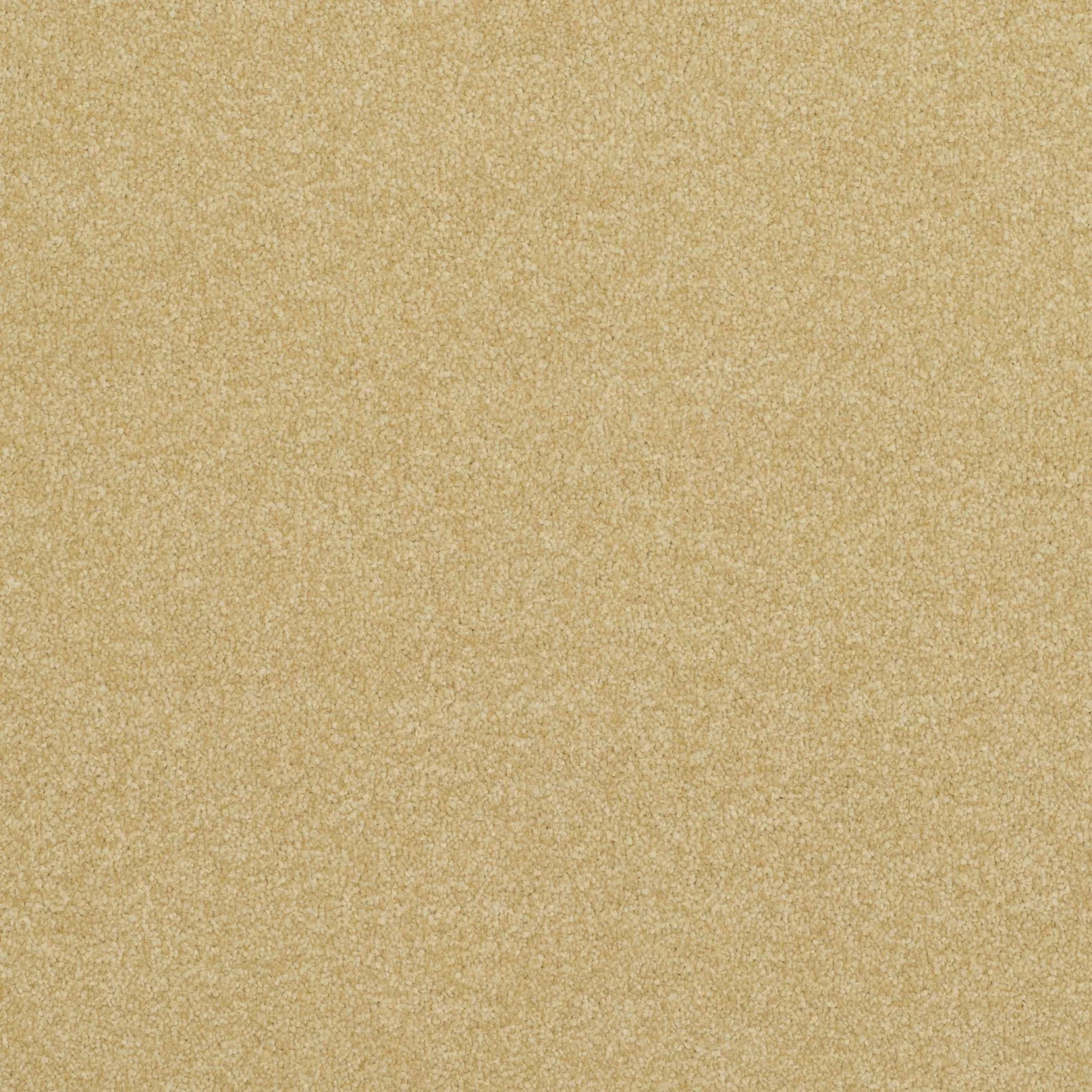 Pinnacle Carpet by Balta | Quality Flooring in Wednesfield