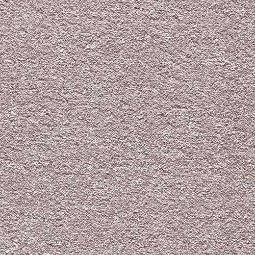 Endless Charm orchid shadow