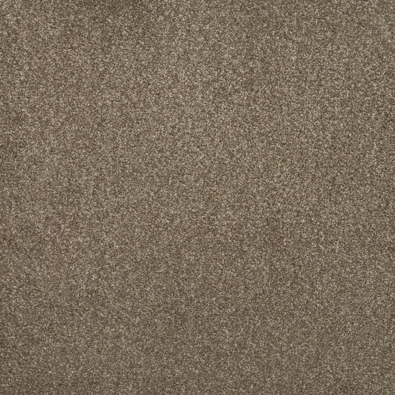 Addiction Carpet by Balta | Quality Carpets in Wednesfield
