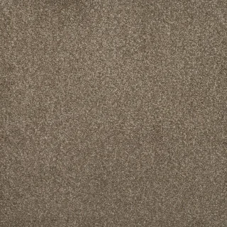desert