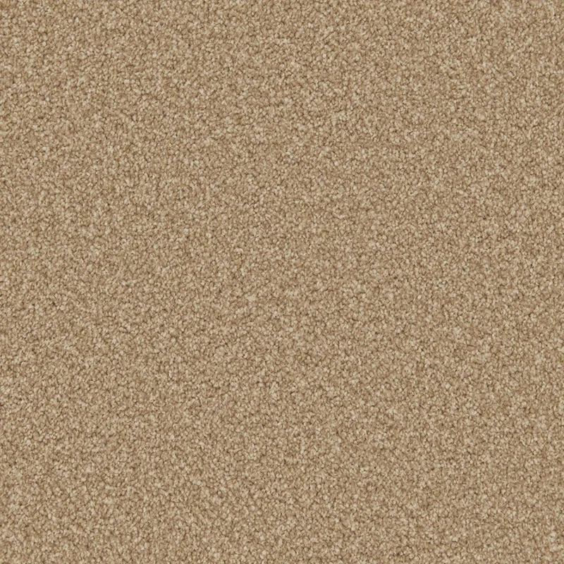 Apollo Plus Apollo Plus - Stepping Stone