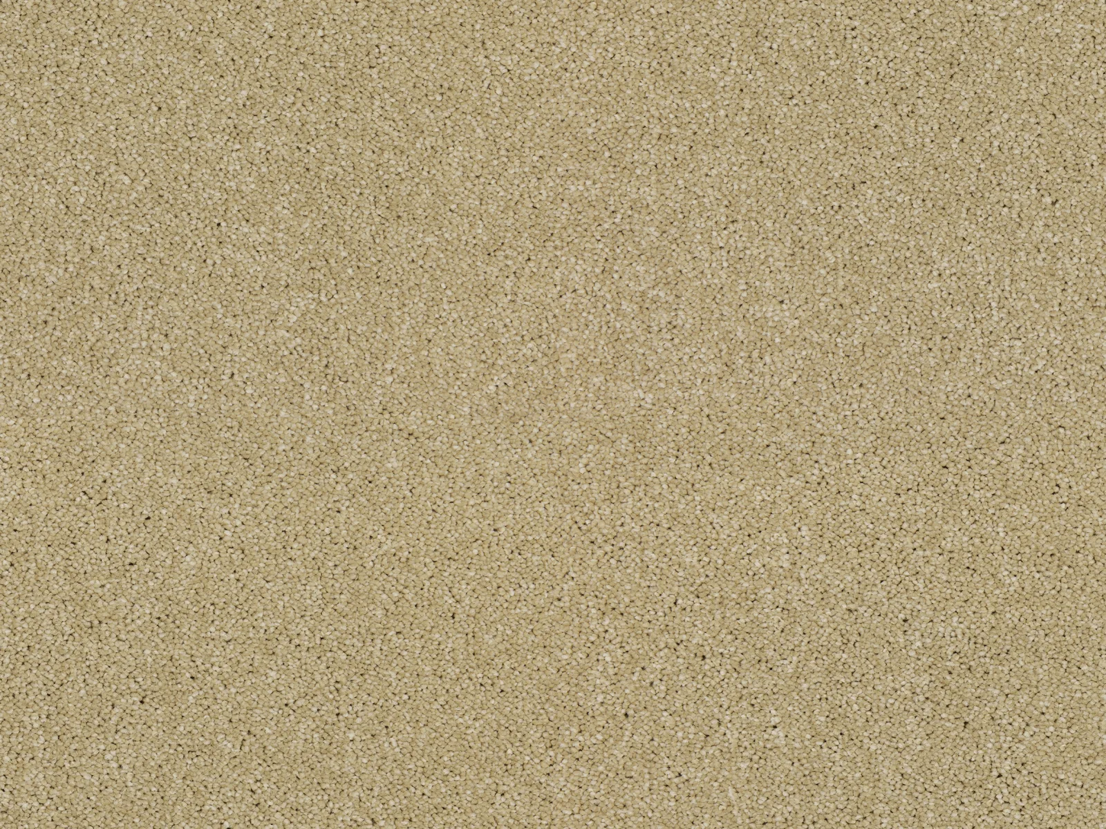 Heathertwist Elite Carpet by Lano | Quality Carpets in WV11