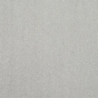 Tundra Frost