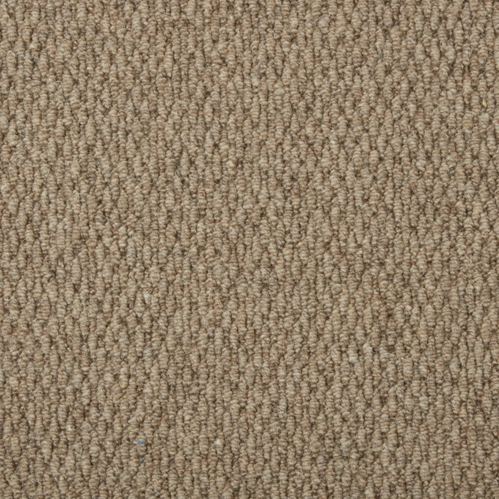 Malabar Two Fold