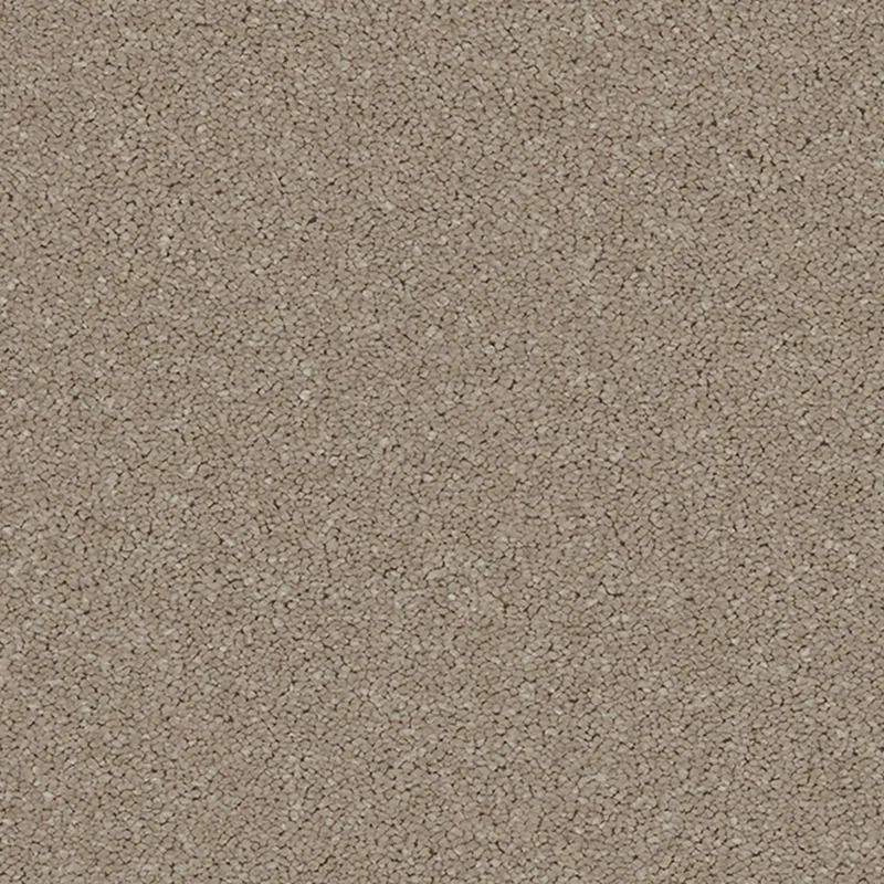 All Carpets Cappuccino