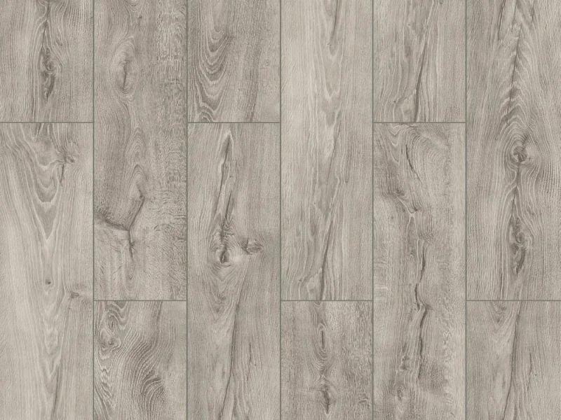 River Tigris Oak