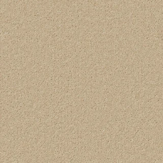 Fossil