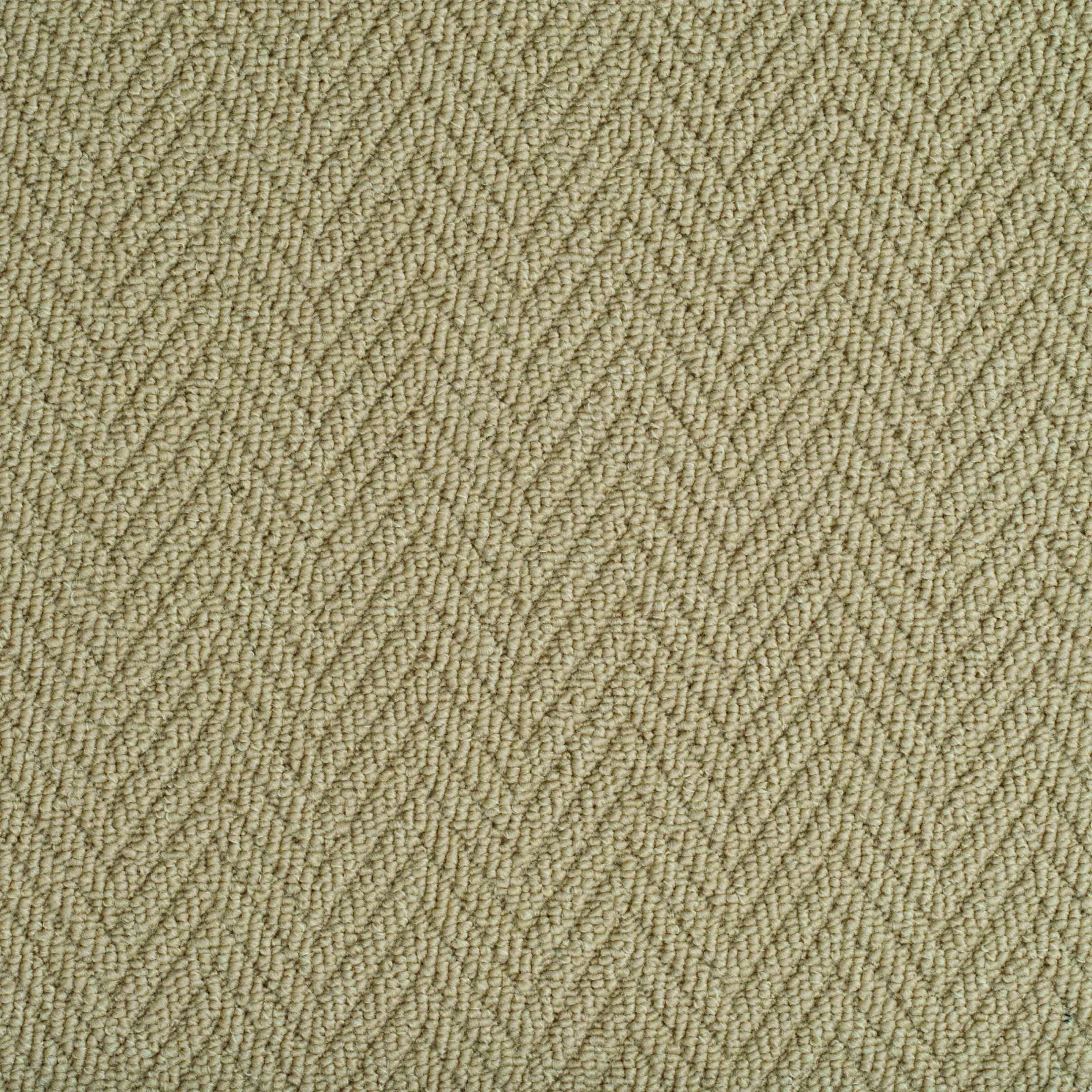 Designer Style Carpet by Balta - Quality Flooring