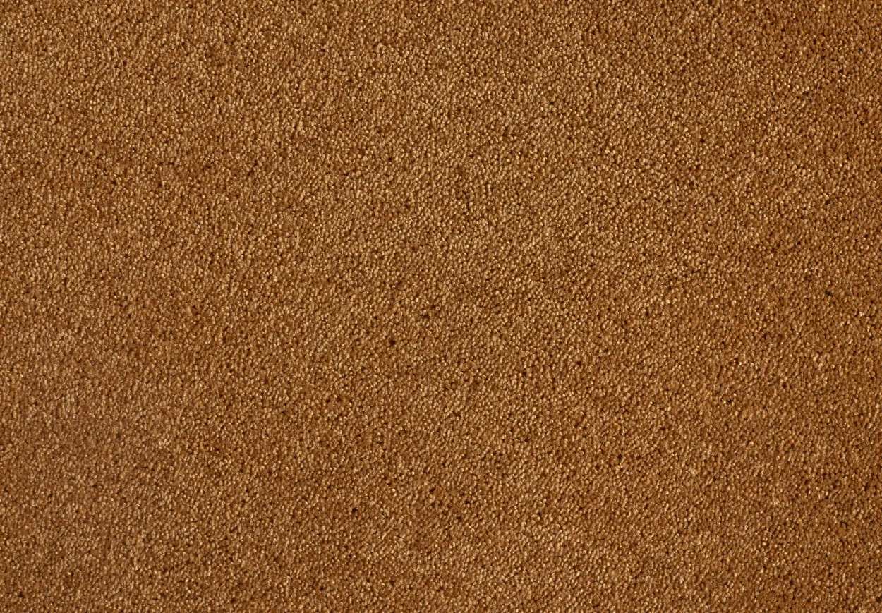 Satine Nova Carpet by Lano | Quality Carpets and Vinyl