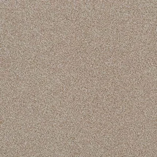 balsa