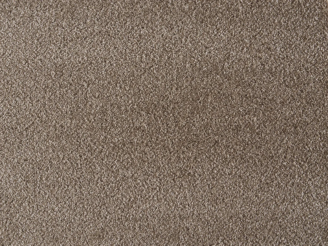 Satine Nova Carpet by Lano | Quality Carpets and Vinyl