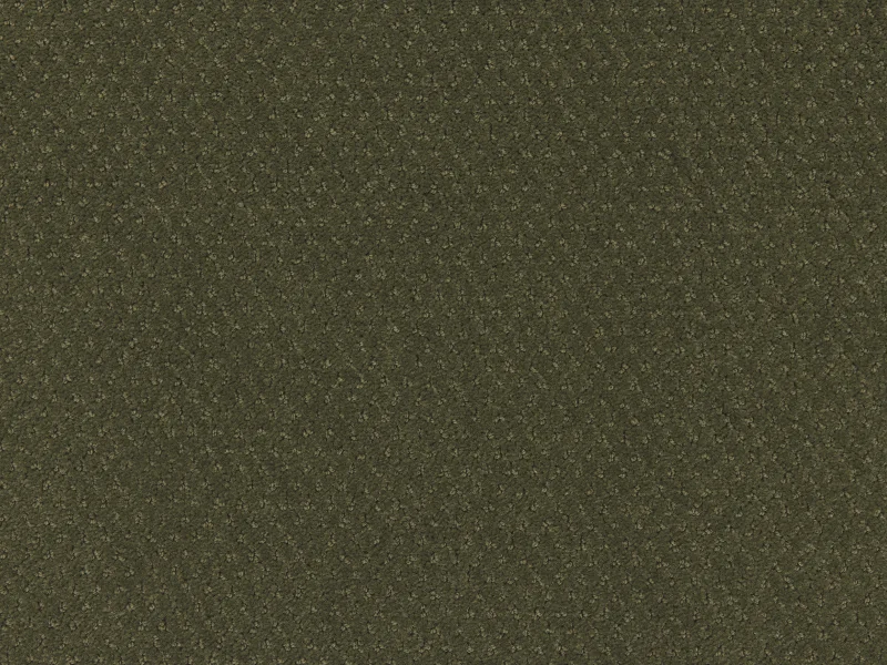 Carve Classic 593Moss 3