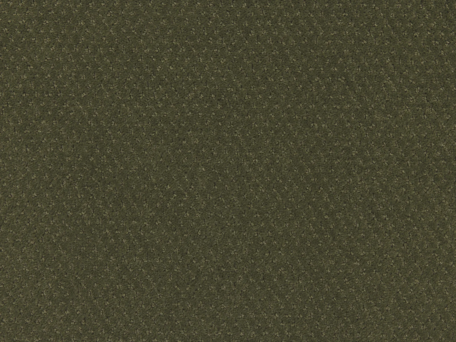 Carve Classic Carpet by Lano - Durable Polyamide
