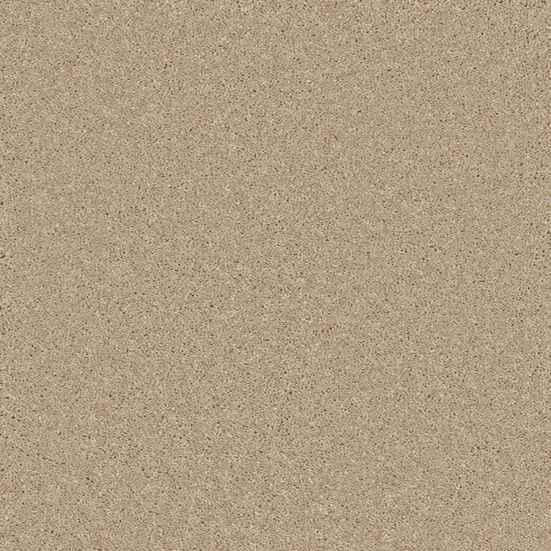 Bliss & Bliss Comfort Coral Reef